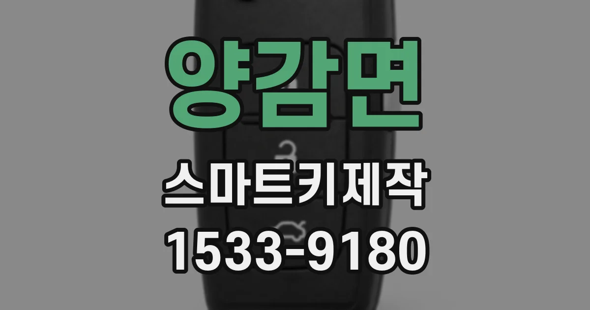양감면 스마트키제작