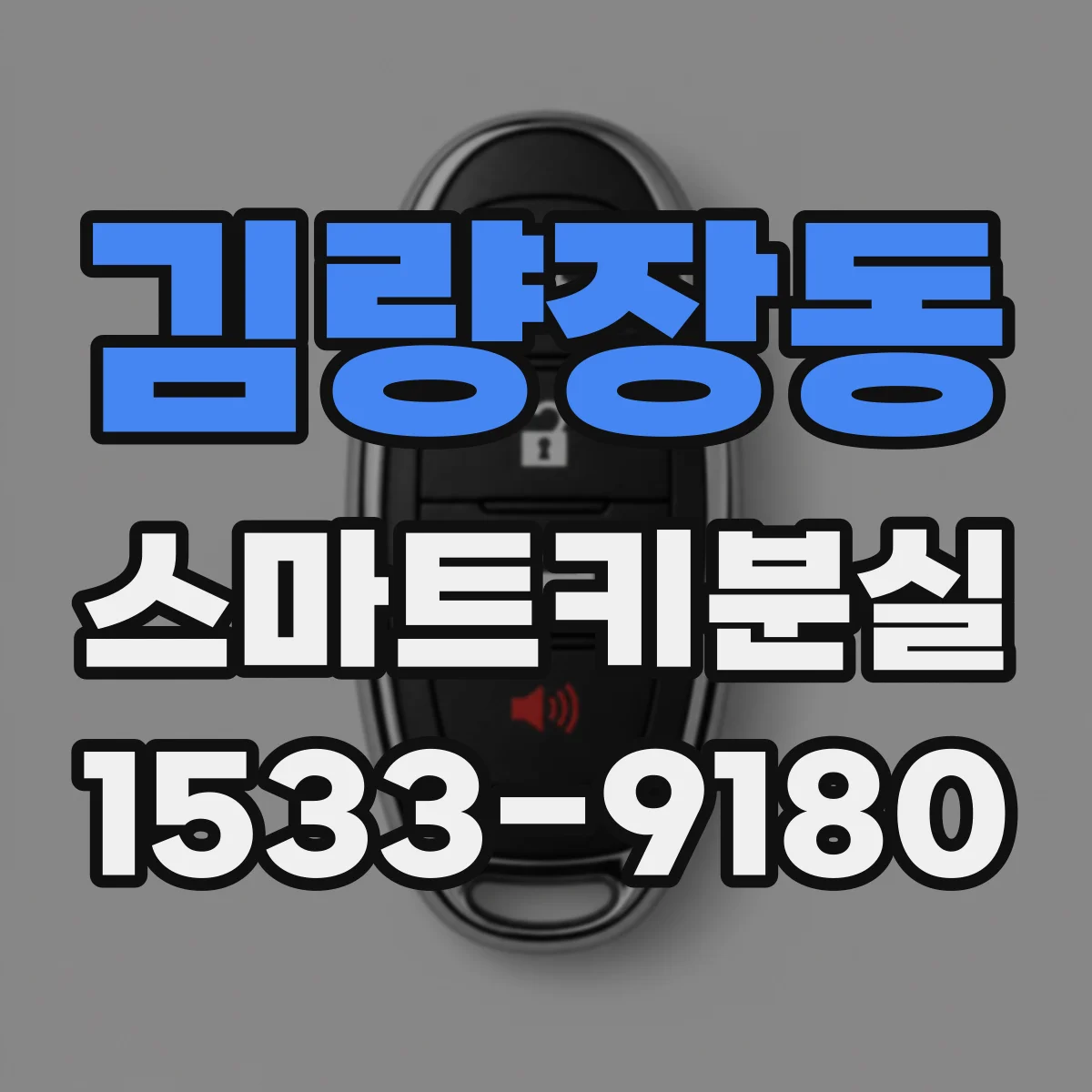 김량장동 스마트키분실