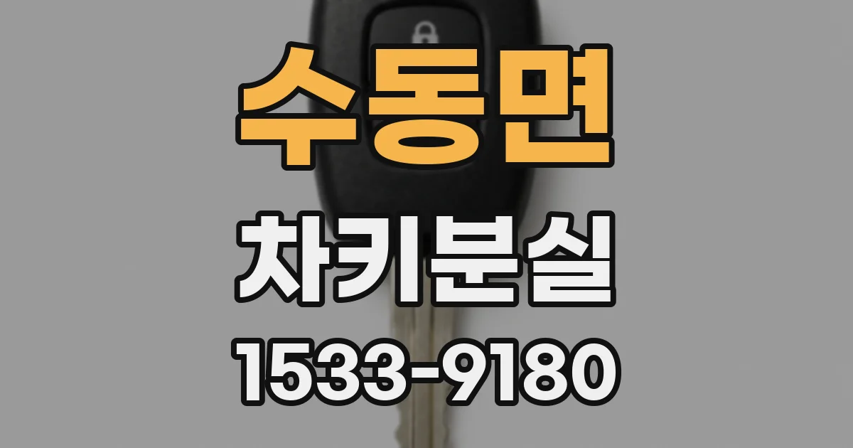 수동면 차키분실