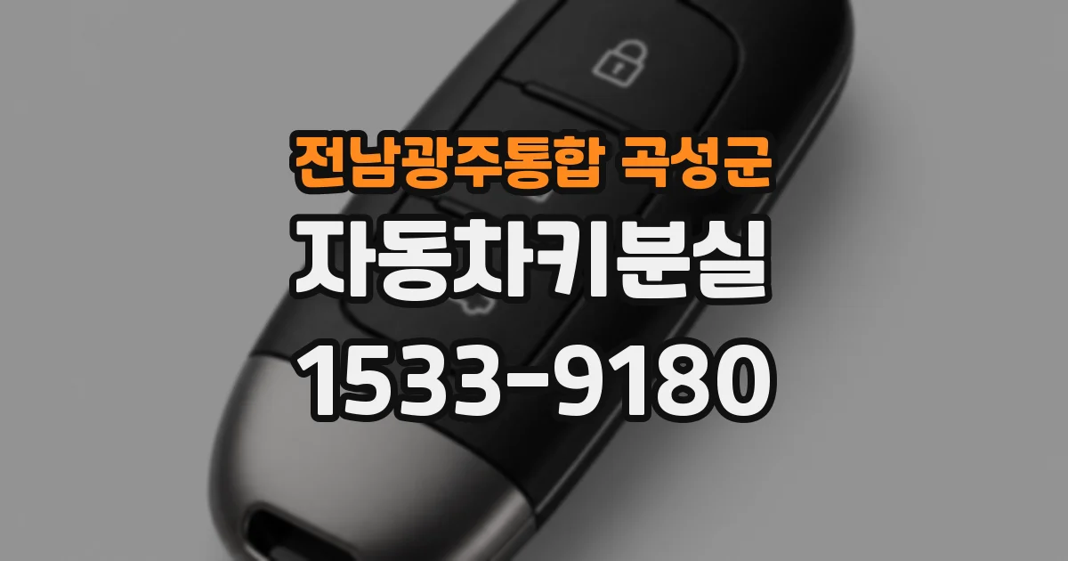 전남광주통합 곡성군 자동차키분실