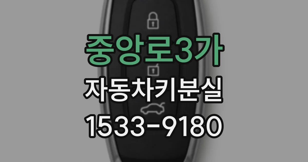 중앙로3가 자동차키분실