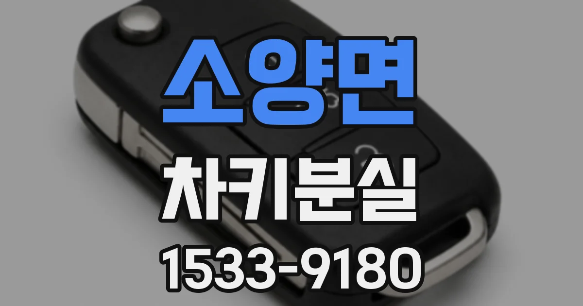소양면 차키분실