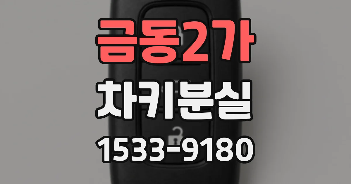 금동2가 차키분실