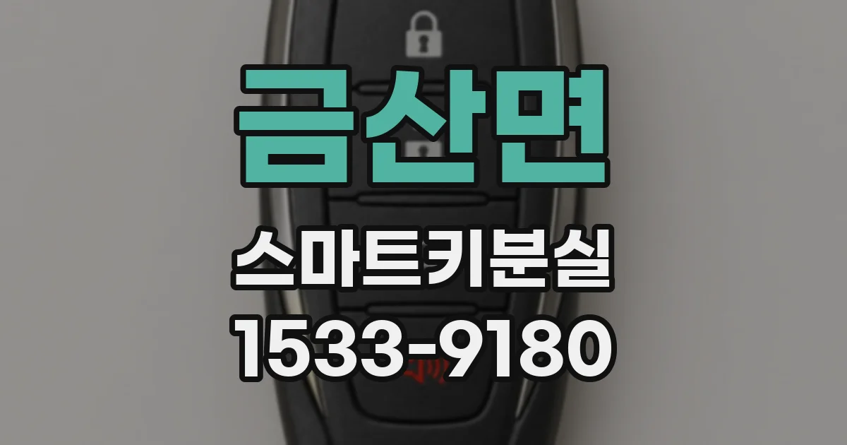 금산면 스마트키분실