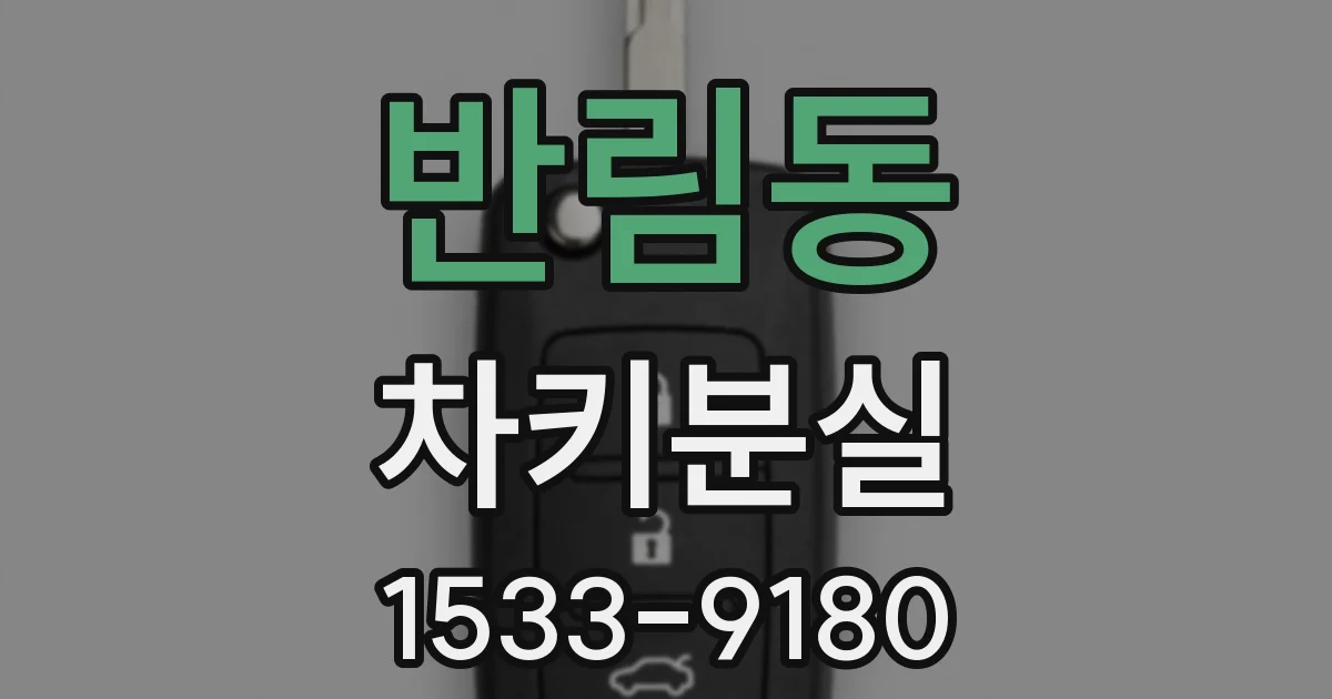 반림동 차키분실