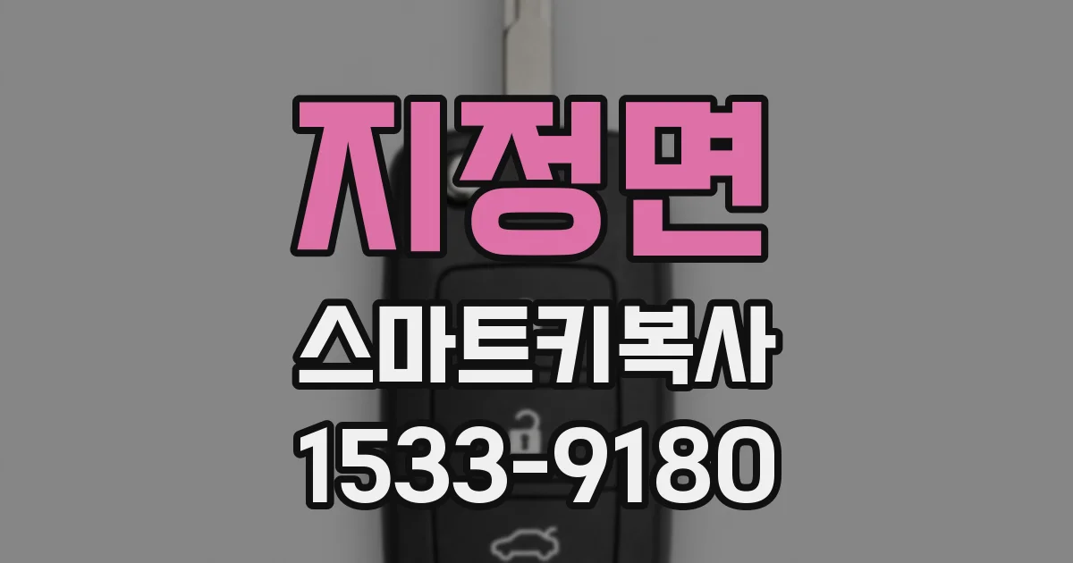 지정면 스마트키복사