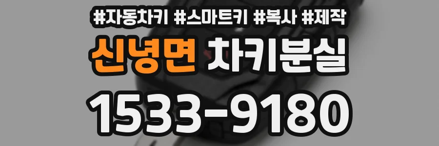 신녕면 차키분실