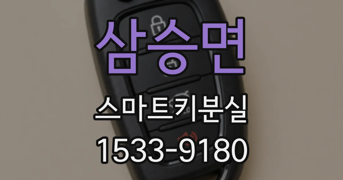삼승면 스마트키분실