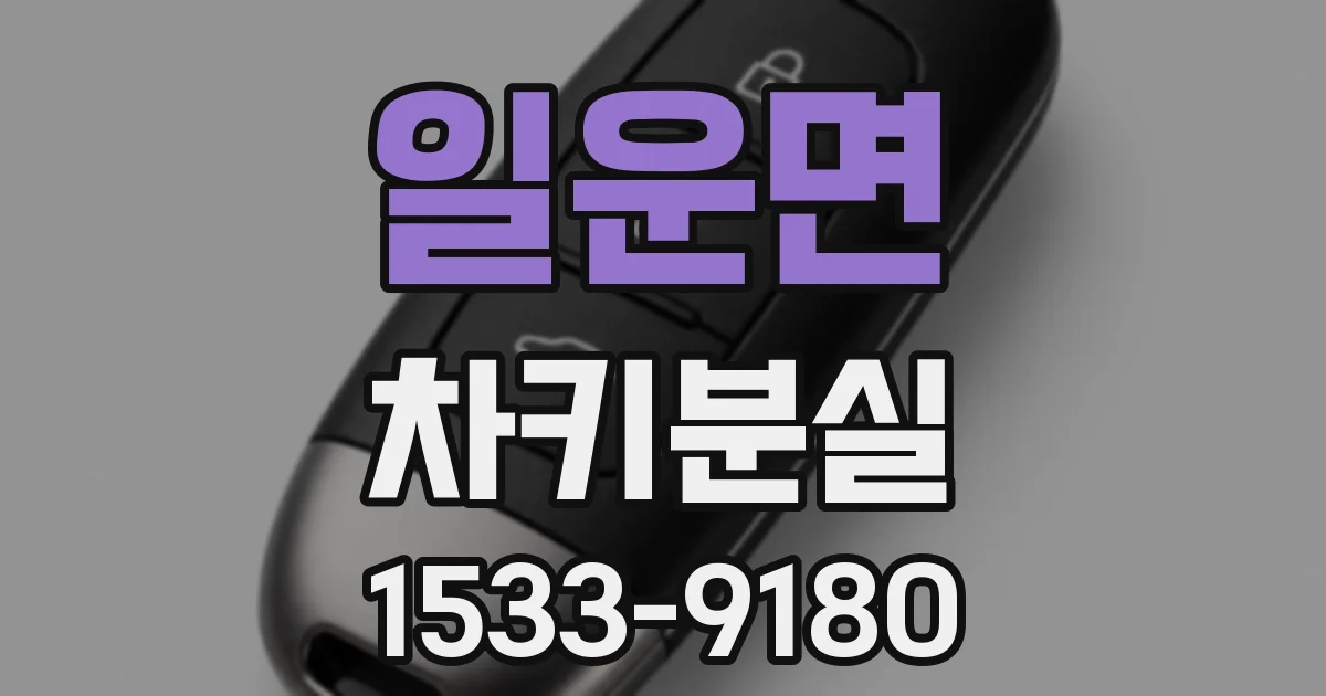 일운면 차키분실