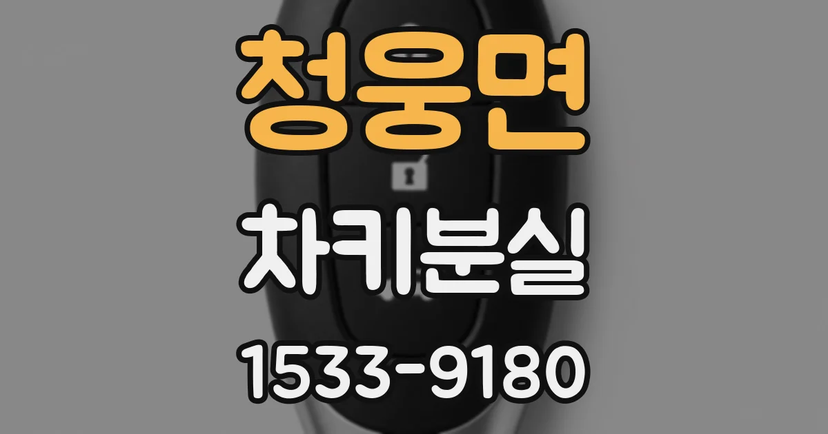 청웅면 차키분실