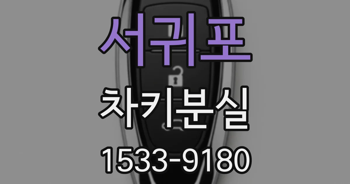 서귀포 차키분실