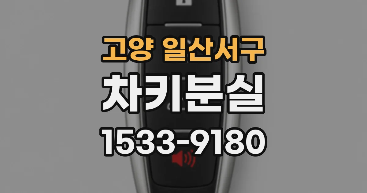 고양 일산서구 차키분실