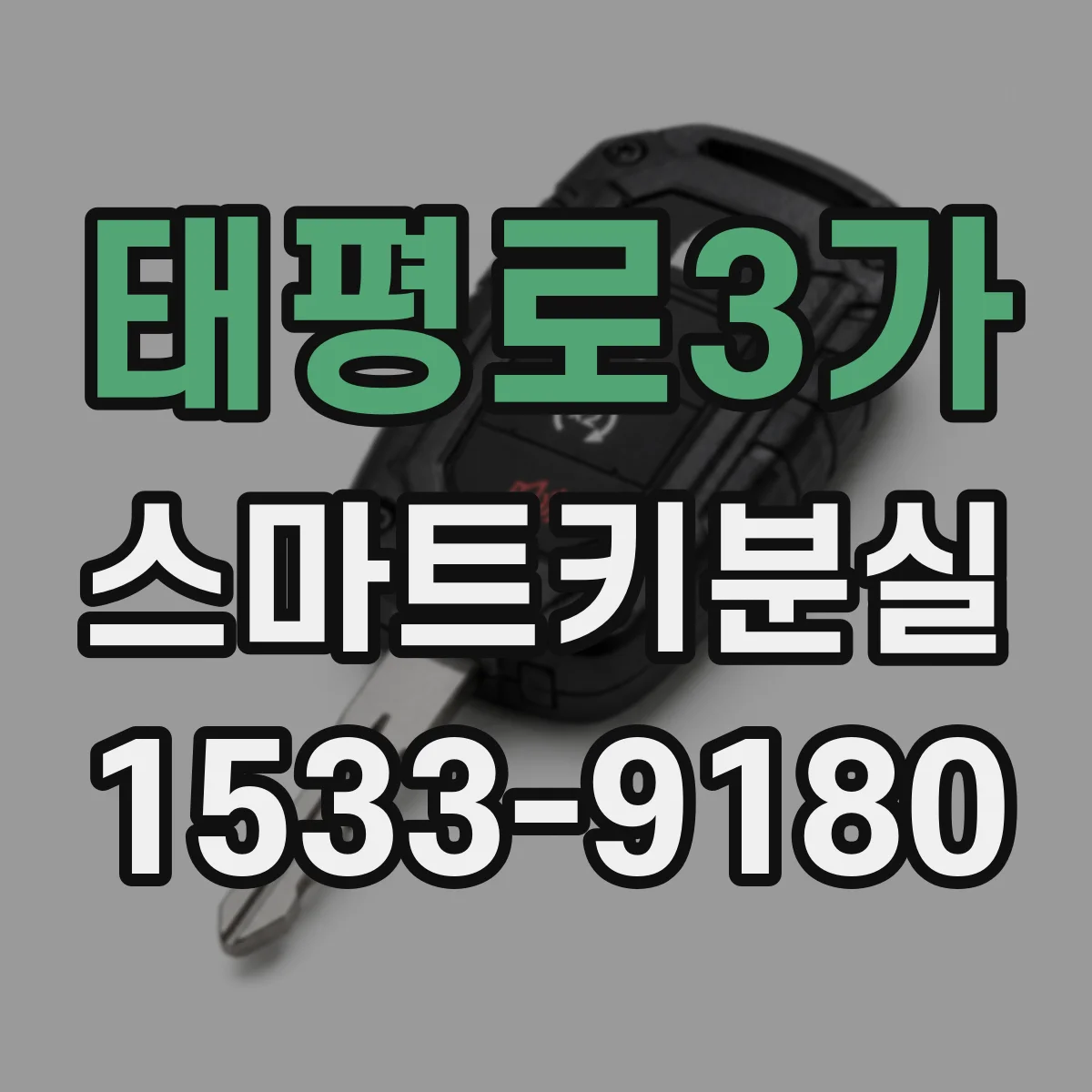태평로3가 스마트키분실