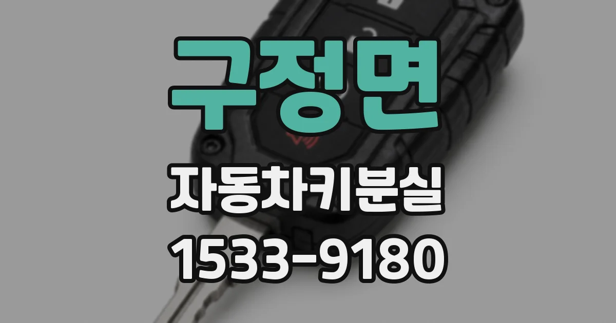 구정면 자동차키분실