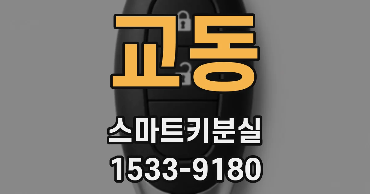 교동 스마트키분실