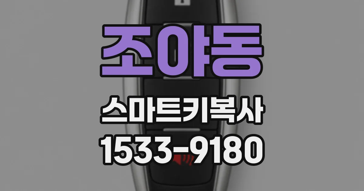 조야동 스마트키복사