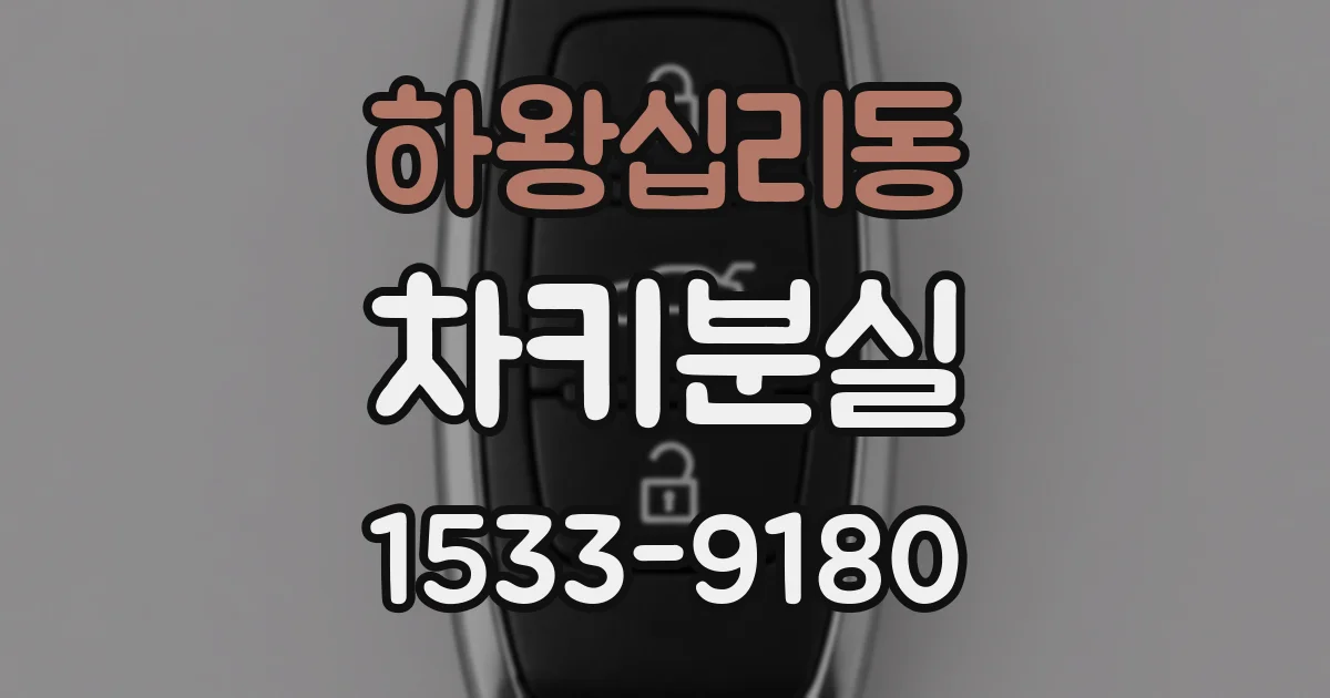 하왕십리동 차키분실