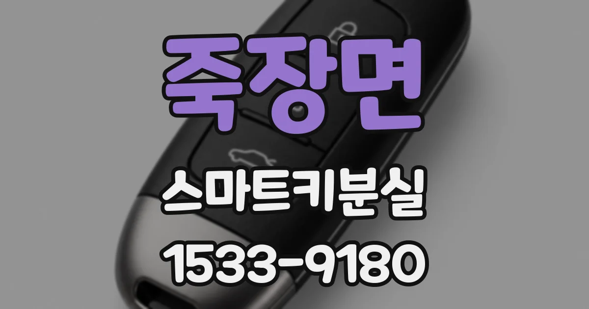 죽장면 스마트키분실