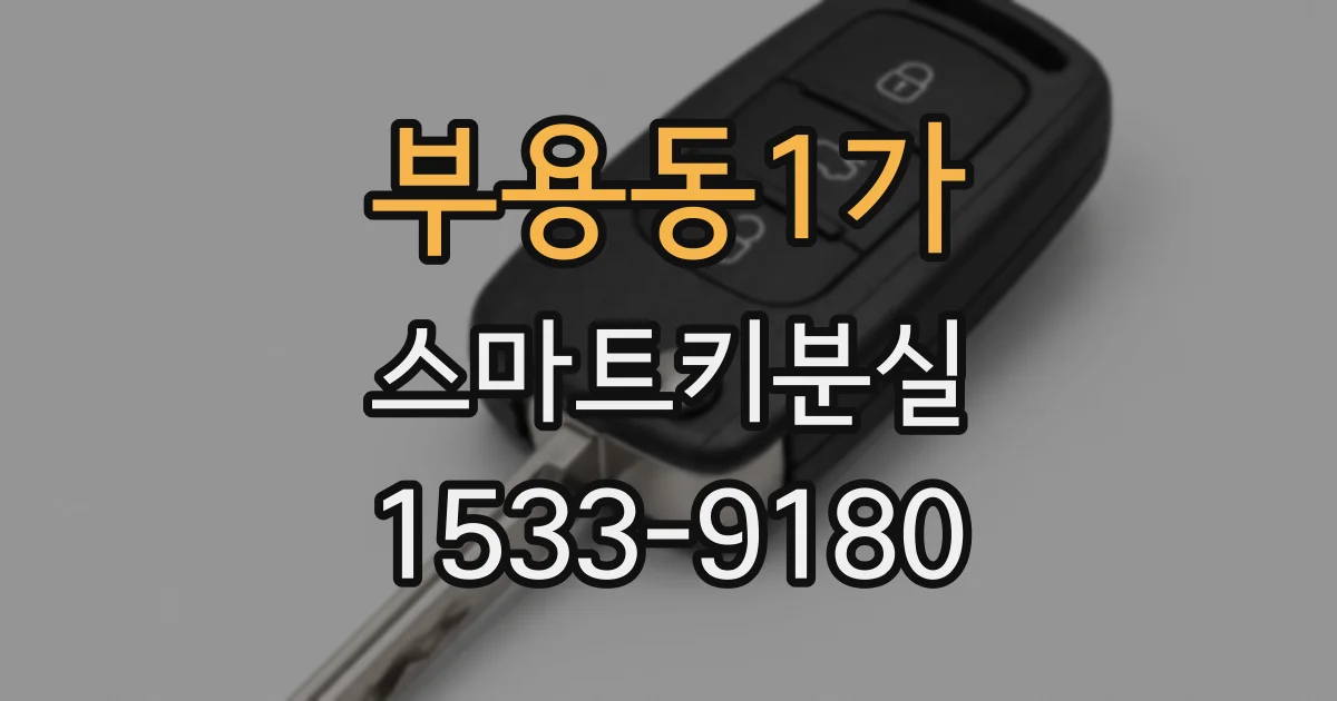 부용동1가 스마트키분실