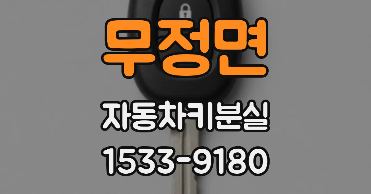 무정면 자동차키분실