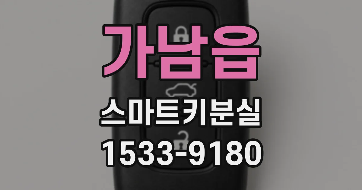 가남읍 스마트키분실