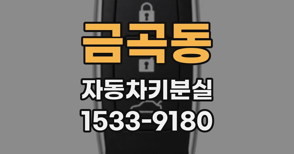 금곡동 자동차키분실