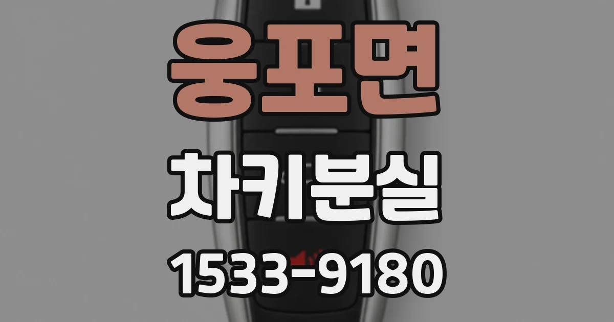 웅포면 차키분실