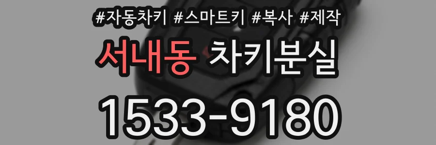 서내동 차키분실