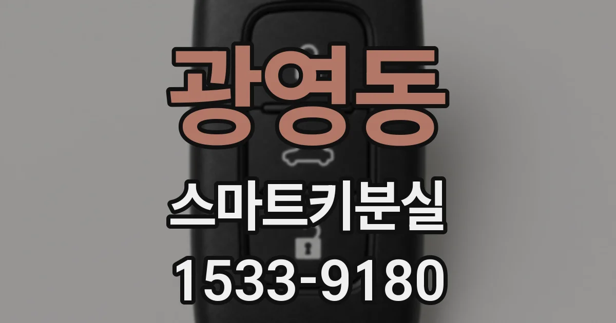 광영동 스마트키분실