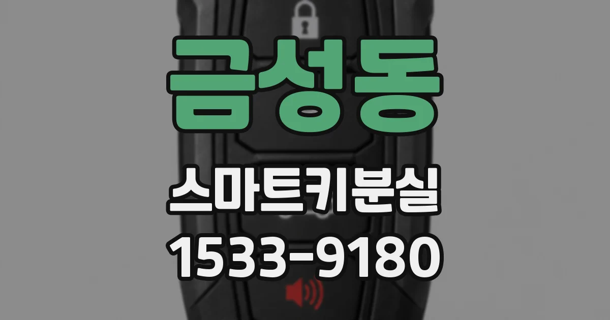 금성동 스마트키분실