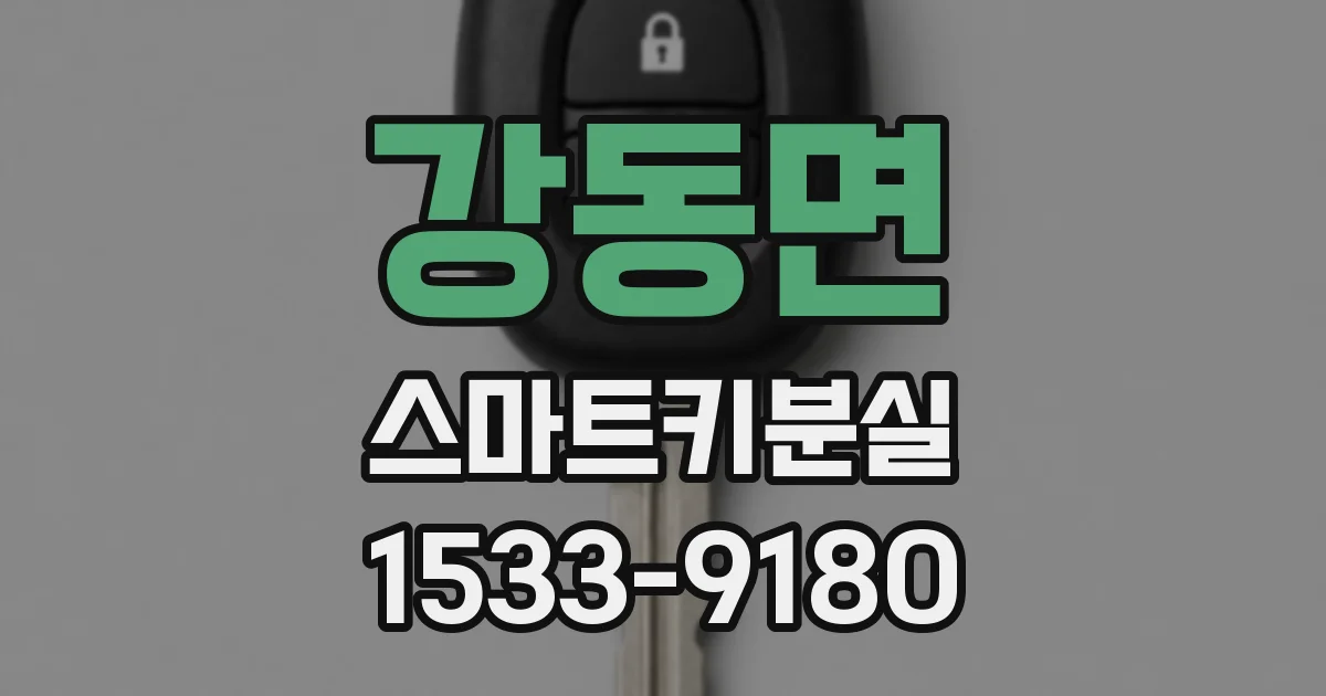 강동면 스마트키분실