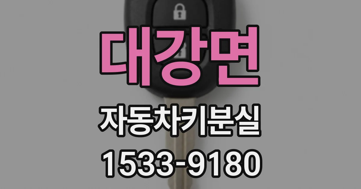 대강면 자동차키분실