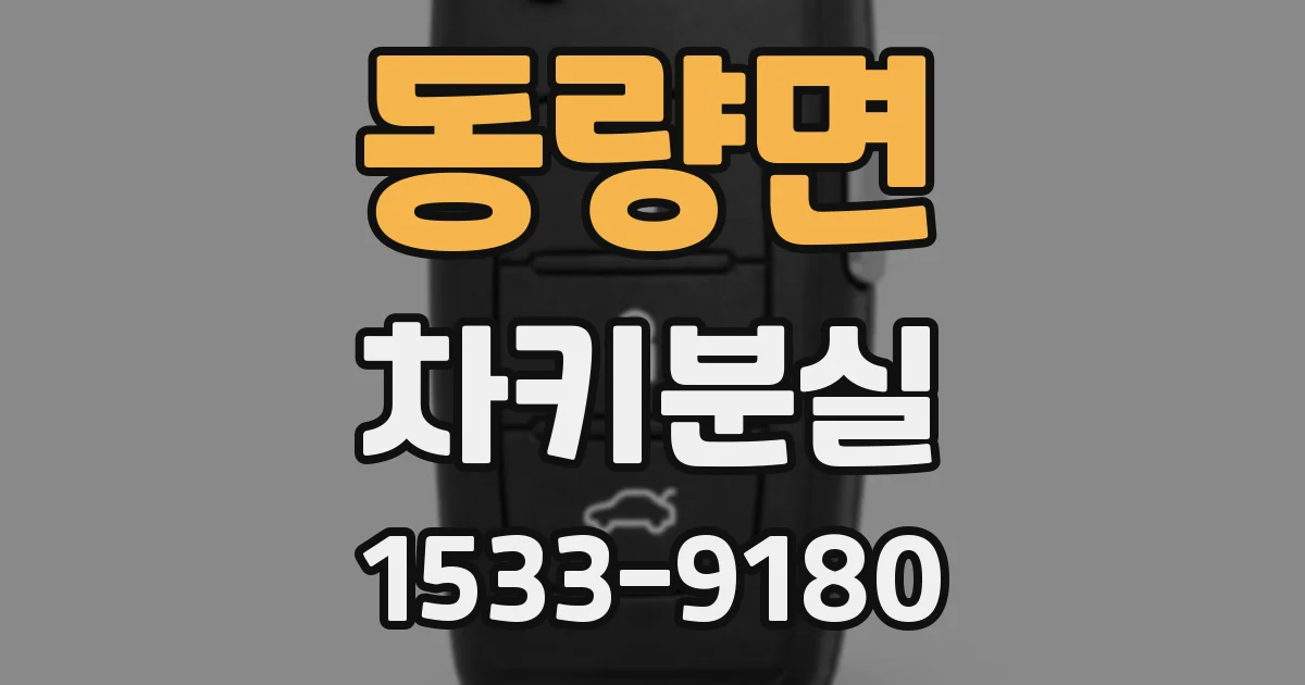 동량면 차키분실