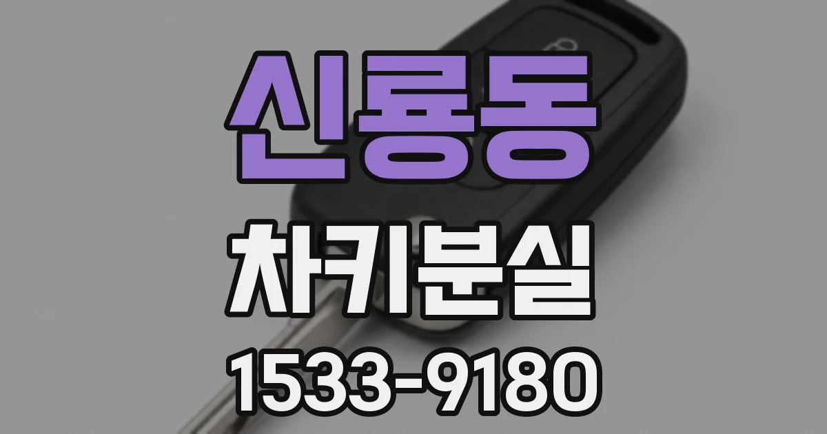 신룡동 차키분실