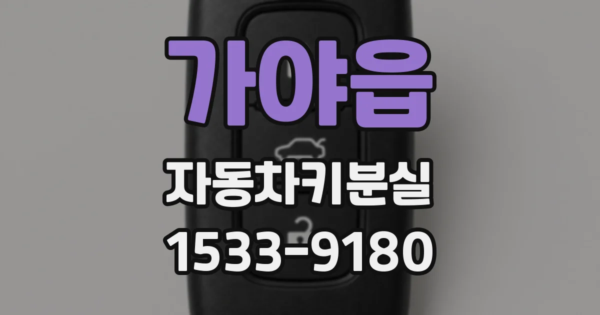 가야읍 자동차키분실