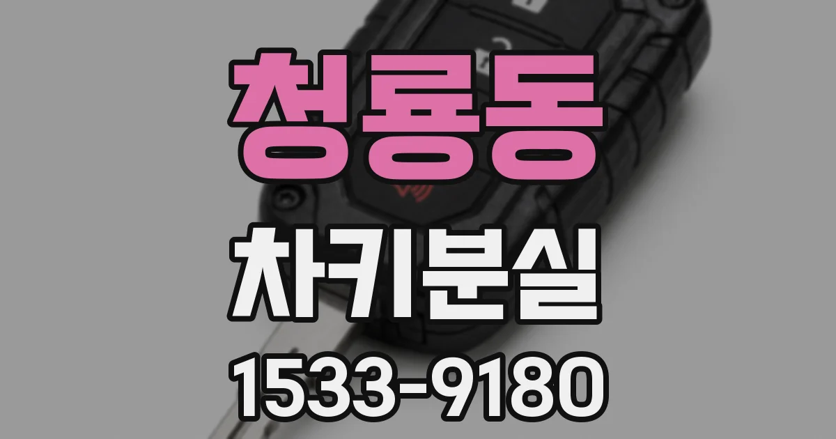청룡동 차키분실