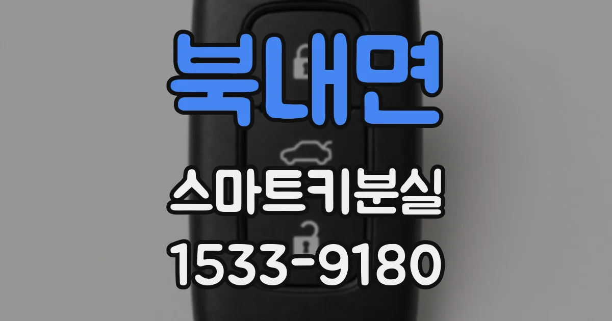 북내면 스마트키분실