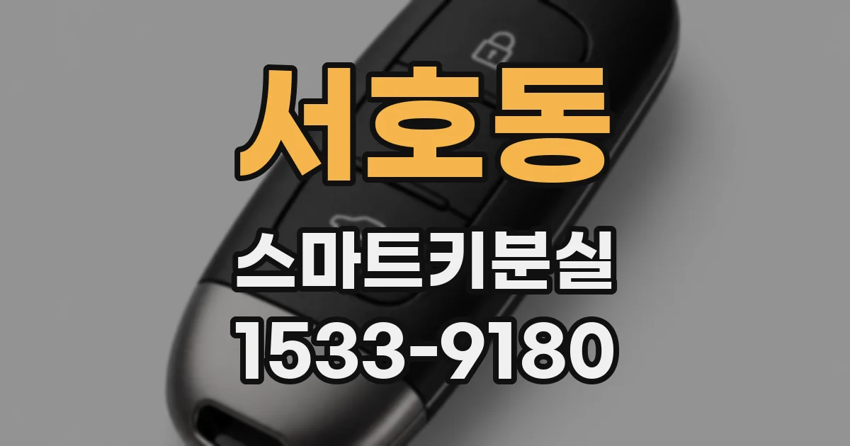서호동 스마트키분실