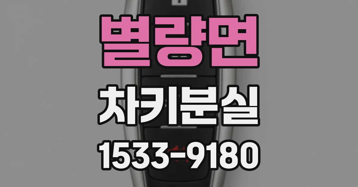 별량면 차키분실