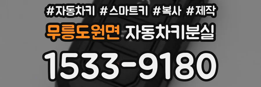 무릉도원면 자동차키분실