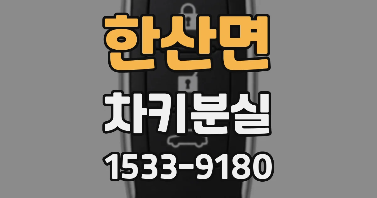 한산면 차키분실