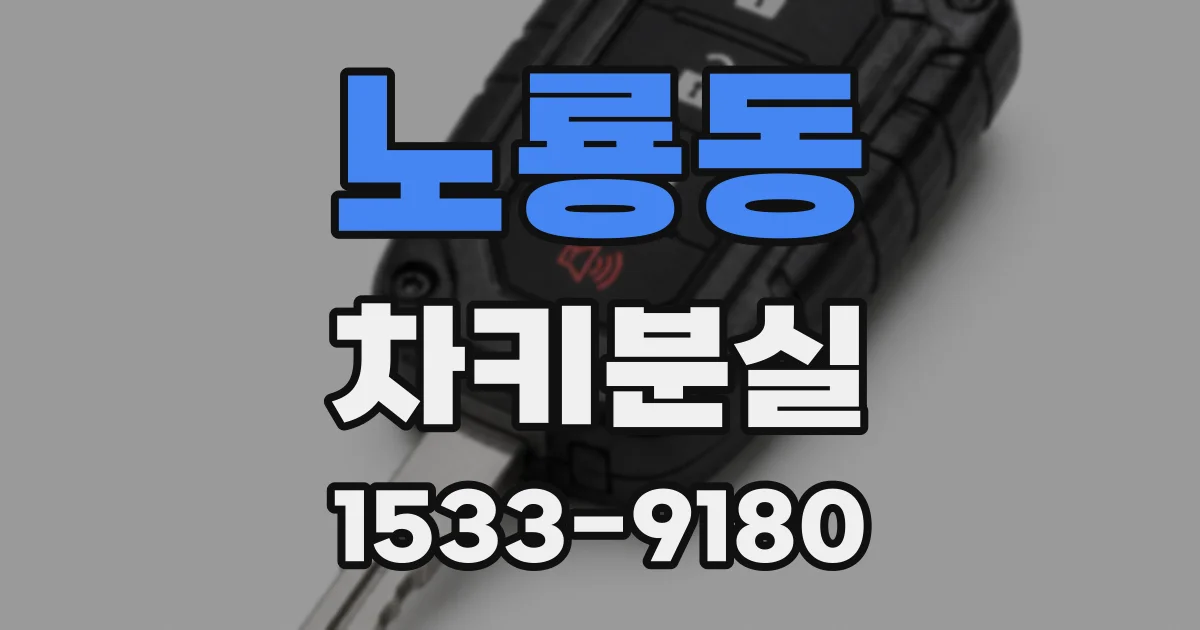 노룡동 차키분실
