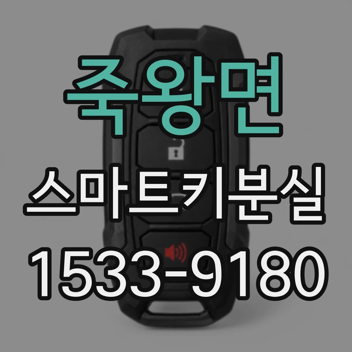죽왕면 스마트키분실