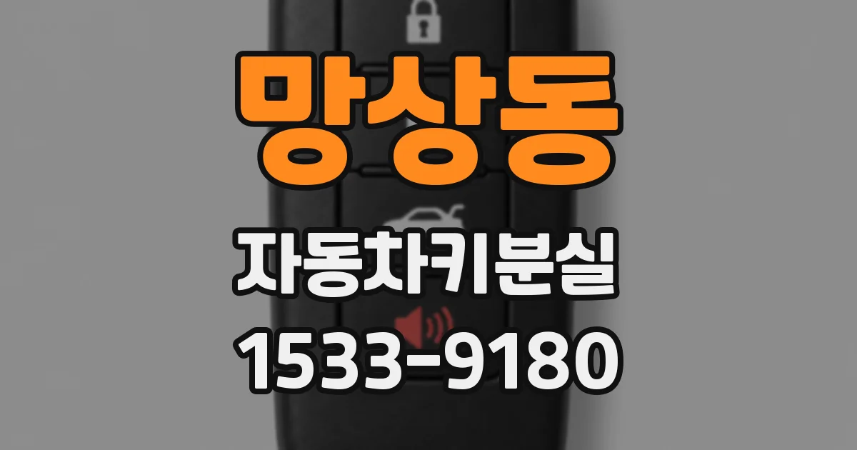 망상동 자동차키분실