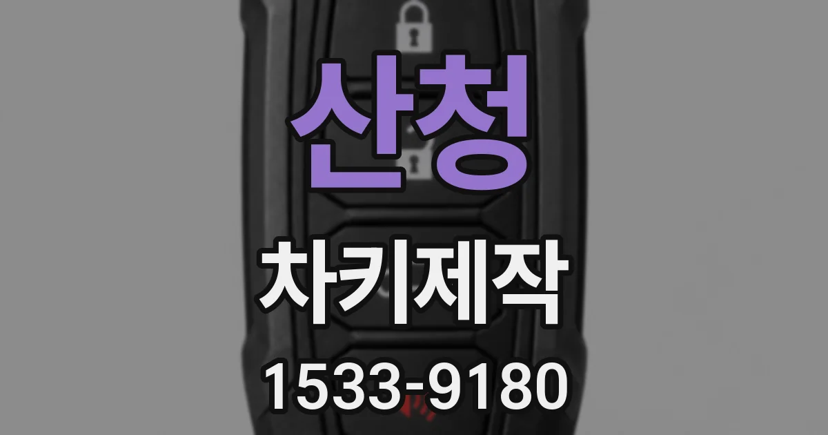 산청 차키제작