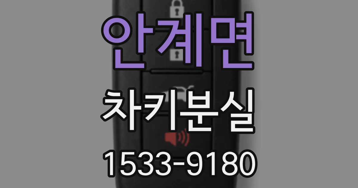 안계면 차키분실
