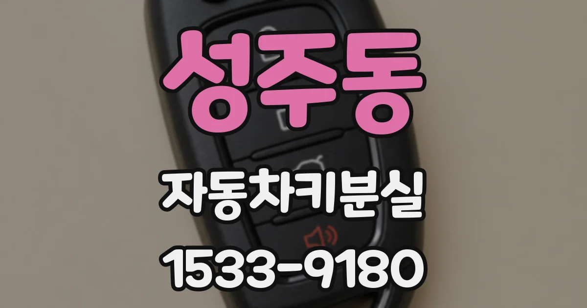 성주동 자동차키분실