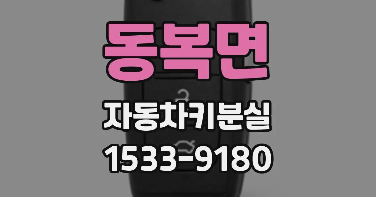 동복면 자동차키분실