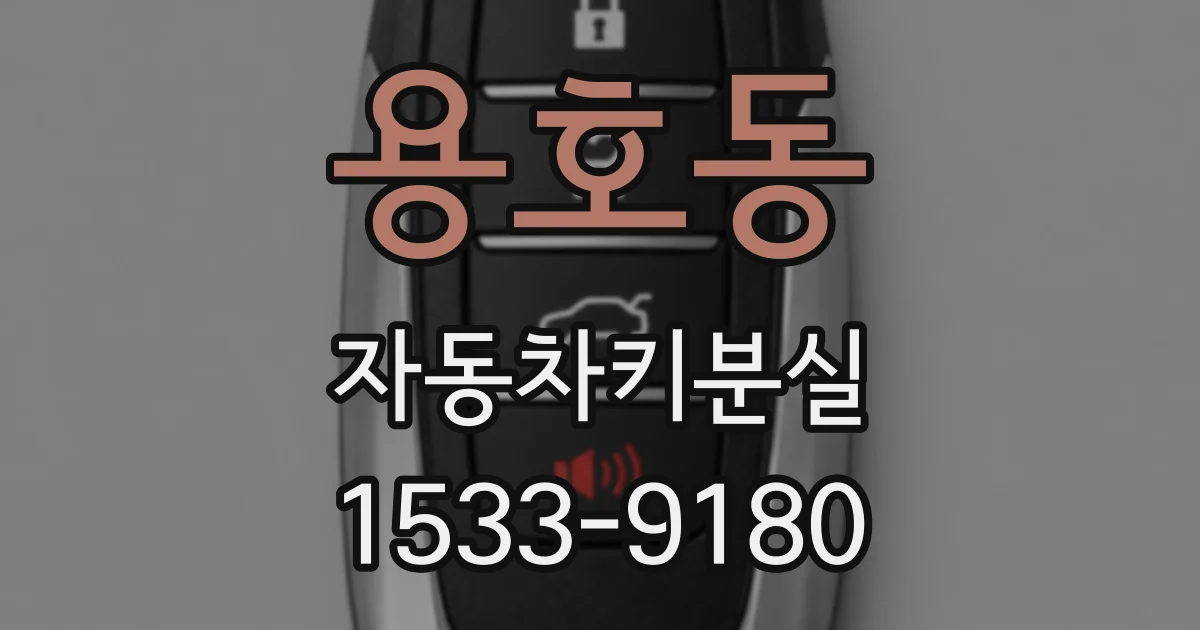 용호동 자동차키분실