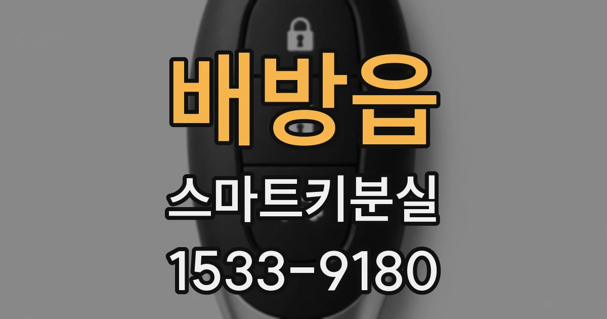 배방읍 스마트키분실